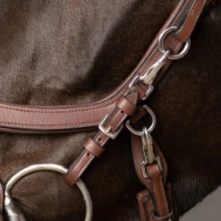 Bakstukken PresTeq Bruin -Paardenbenodigdheden Winkel bakstukken presteq bruin 1500x1500 134484