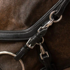 Bakstukken PresTeq Zwart -Paardenbenodigdheden Winkel bakstukken presteq zwart 1500x1500 134481