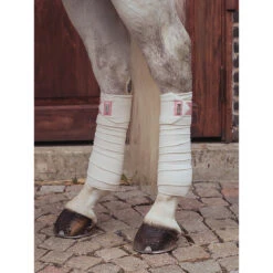 Bandages Equestrian Stockholm Desert Rose Lichtroze -Paardenbenodigdheden Winkel bandages equestrian stockholm desert rose lichtroze 1500x1500 147537