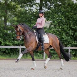 Bandages Equestrian Stockholm Desert Rose Lichtroze -Paardenbenodigdheden Winkel bandages equestrian stockholm desert rose lichtroze 1500x1500 147538