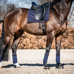 Bandages HB Showtime Crown Donkerblauw 7 Bandages HB Showtime Crown Donkerblauw -Paardenbenodigdheden Winkel bandages hb showtime crown donkerblauw 1500x1500 146321