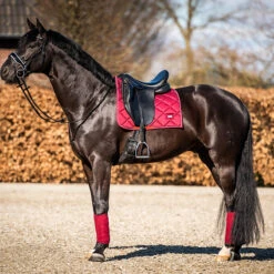 Bandages HB Showtime Crown Donkerrood -Paardenbenodigdheden Winkel bandages hb showtime crown donkerrood 1500x1500 146324