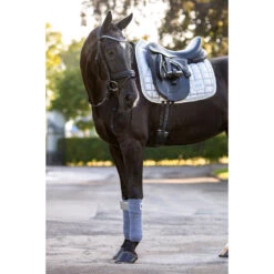 Bandages HB Showtime Lake View Zilver -Paardenbenodigdheden Winkel bandages hb showtime lake view zilver 1500x1500 129411