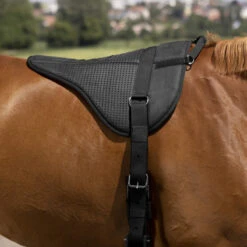 Barebackpad Equithème Norton Zwart -Paardenbenodigdheden Winkel barebackpad equitheme norton zwart 1500x1500 150048