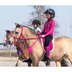 Barebackpad QHP Donkerroze -Paardenbenodigdheden Winkel barebackpad qhp donkerroze 1500x1500 120595