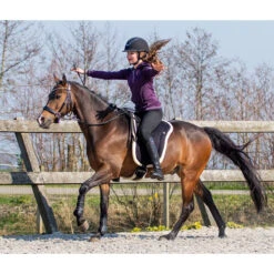 Barebackpad QHP Zwart -Paardenbenodigdheden Winkel barebackpad qhp zwart 1500x1500 120591