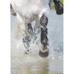 Beenbeschermers Cross Arma Voor Zwart 7 Beenbeschermers Cross Arma Voor Zwart -Paardenbenodigdheden Winkel beenbeschermers cross arma voor zwart 1500x1500 164289