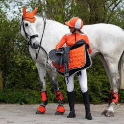 Beenbeschermers QHP Eventing Achter Oranje -Paardenbenodigdheden Winkel beenbeschermers qhp eventing achter oranje 1500x1500 101794