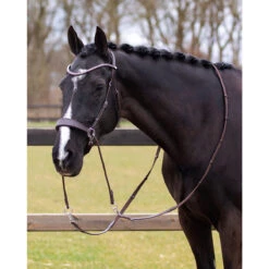 Bitloos Hoofdstel QHP Sunna Donkerbruin -Paardenbenodigdheden Winkel bitloos hoofdstel qhp sunna donkerbruin 1500x1500 169602