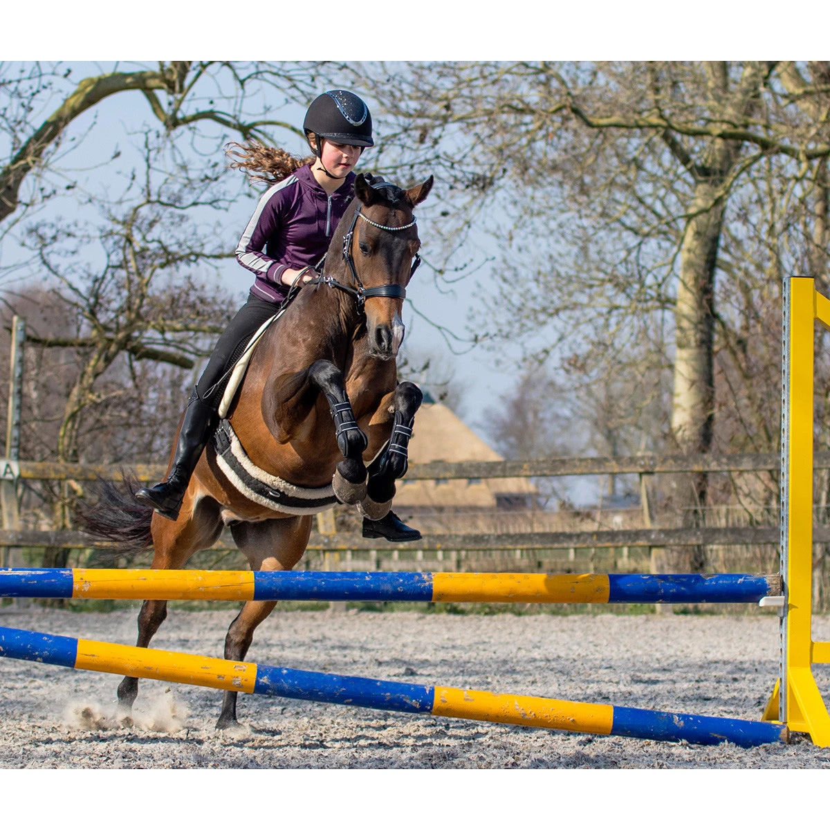 Bitloos Hoofdstel QHP Sunna Zwart 10 Bitloos Hoofdstel QHP Sunna Zwart - Afbeelding 8