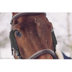 Blinkers Dy'on Bruin 8 Blinkers Dy'on Bruin -Paardenbenodigdheden Winkel blinkers dy on bruin 1500x1500 101488
