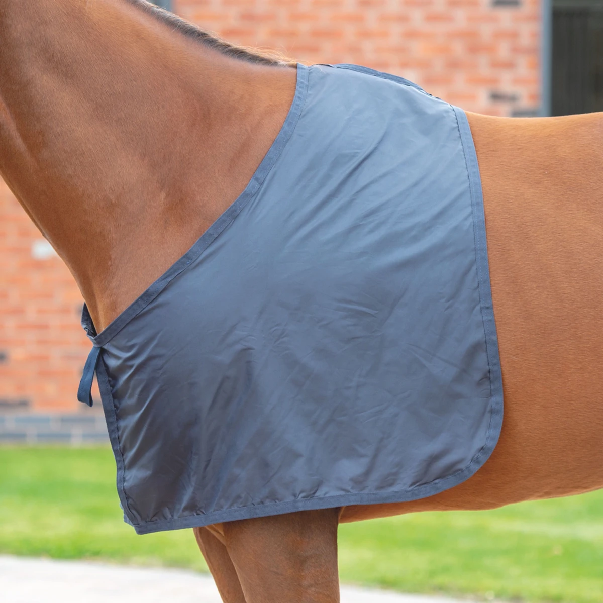 Borstbeschermer Shires Satin Donkerblauw 4 Borstbeschermer Shires Satin Donkerblauw - Afbeelding 2