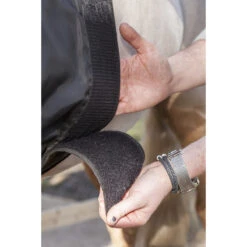 Borstbeschermers LeMieux Zwart -Paardenbenodigdheden Winkel borstbeschermers lemieux zwart 1500x1500 132476