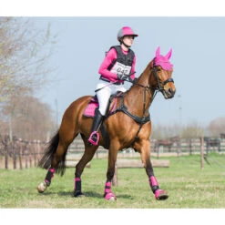 Borsttuig Met Martingaal QHP Sedna Zwart 7 Borsttuig Met Martingaal QHP Sedna Zwart -Paardenbenodigdheden Winkel borsttuig met martingaal qhp sedna zwart 1500x1500 101259