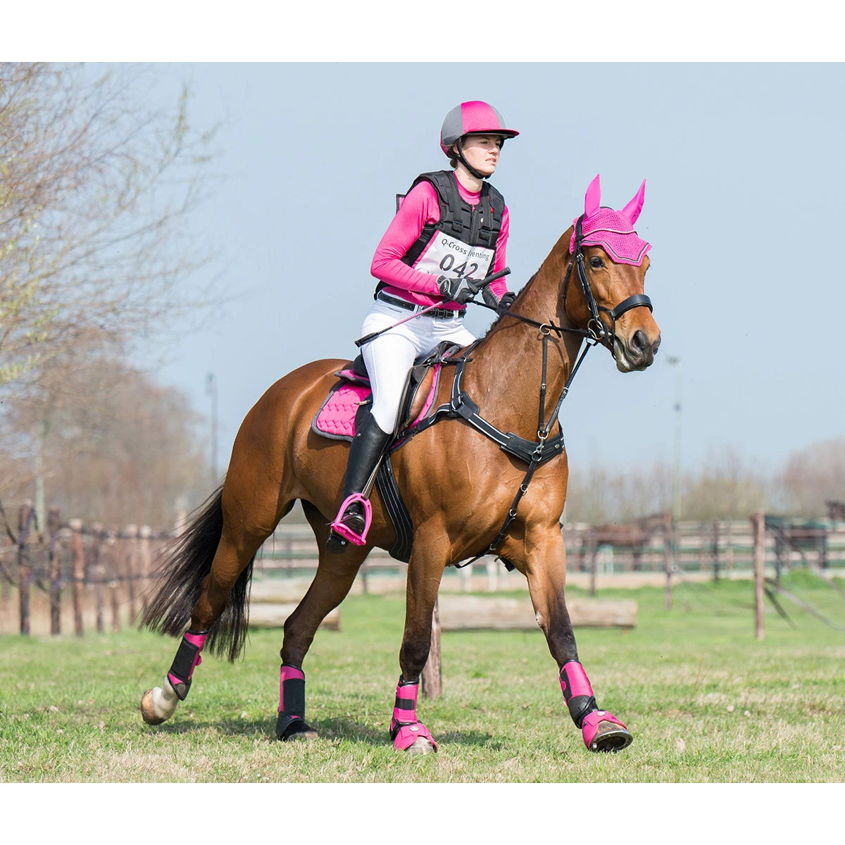 Borsttuig Met Martingaal QHP Sedna Zwart 5 Borsttuig Met Martingaal QHP Sedna Zwart - Afbeelding 3