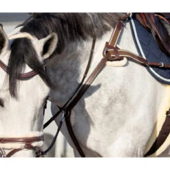 Borsttuig QHP Ontario Bruin -Paardenbenodigdheden Winkel borsttuig qhp ontario bruin 1500x1500 120430