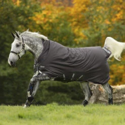 Deken Amigo Bravo 1200D Wug 250gr Grijs-paars -Paardenbenodigdheden Winkel deken amigo bravo 1200d wug 250gr grijs paars 1500x1500 114032