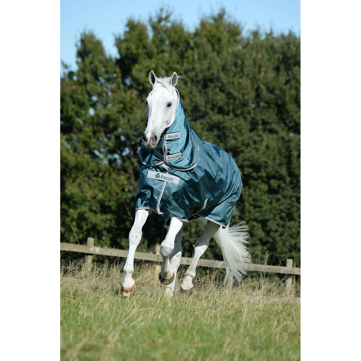 Deken Bucas Atlantic 400gr Groen 4 Deken Bucas Atlantic 400gr Groen - Afbeelding 2