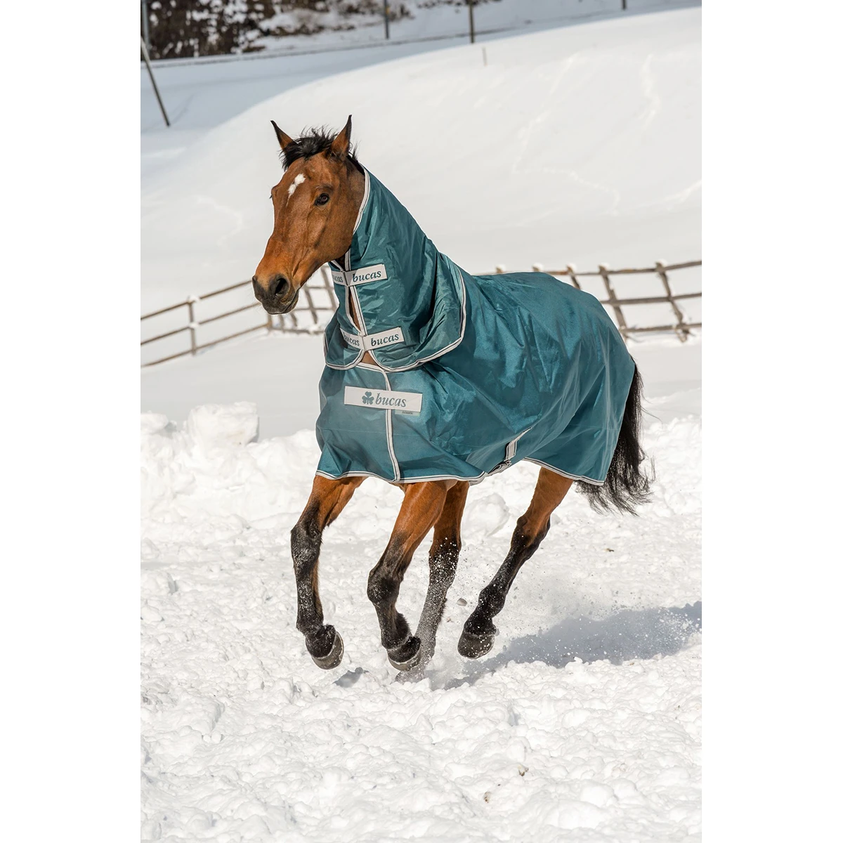 Deken Bucas Atlantic 400gr Groen 6 Deken Bucas Atlantic 400gr Groen - Afbeelding 4