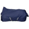 Deken Bucas Freedom Turnout High Neck 150gr Donkerblauw-zilver 2 Deken Bucas Freedom Turnout High Neck 150gr Donkerblauw-zilver -Paardenbenodigdheden Winkel deken bucas freedom turnout high neck 150gr donkerblauw zilver 1500x1500 133241