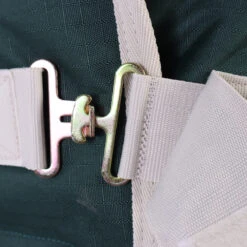 Deken Bucas Green Line 300gr Donkergroen-bruin 11 Deken Bucas Green Line 300gr Donkergroen-bruin -Paardenbenodigdheden Winkel deken bucas green line 300gr donkergroen bruin 1500x1500 168542