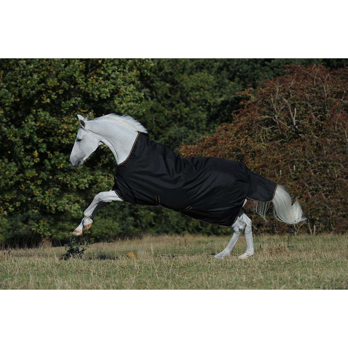 Deken Bucas Irish Turnout Light High Neck 50gr Zwart-goud 4 Deken Bucas Irish Turnout Light High Neck 50gr Zwart-goud - Afbeelding 2