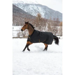Deken Bucas Irish Turnout Light High Neck 50gr Zwart-goud 7 Deken Bucas Irish Turnout Light High Neck 50gr Zwart-goud -Paardenbenodigdheden Winkel deken bucas irish turnout light high neck 50gr zwart goud 1500x1500 133292