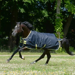 Deken Bucas Oasis Met Hals 100gr Donkergrijs -Paardenbenodigdheden Winkel deken bucas oasis met hals 100gr donkergrijs 1500x1500 182564