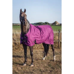 Deken Epplejeck EJRindal 200gr Donkerrood 11 Deken Epplejeck EJRindal 200gr Donkerrood -Paardenbenodigdheden Winkel deken epplejeck ejrindal 200gr donkerrood 1500x1500 165868