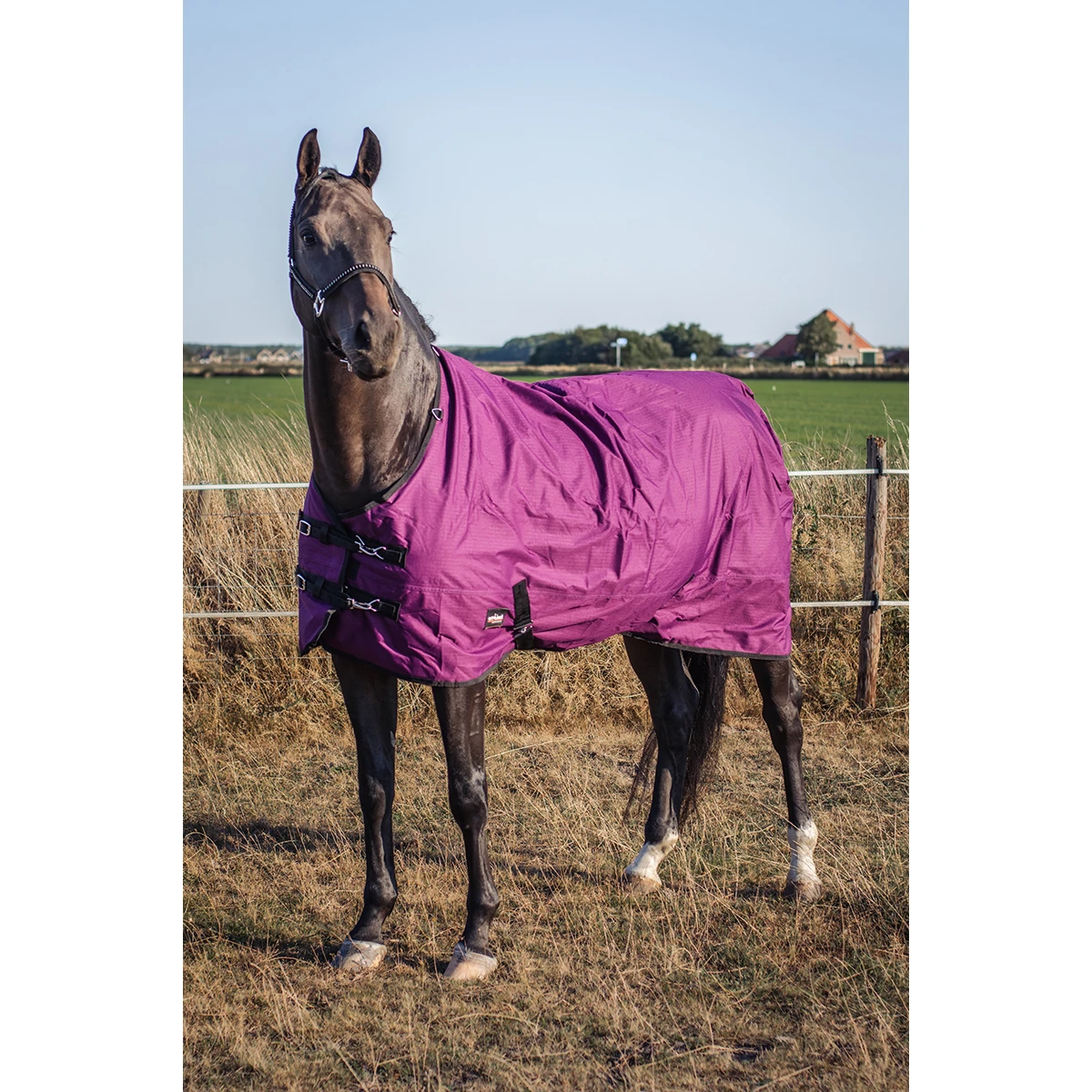 Deken Epplejeck EJRindal 200gr Donkerrood 6 Deken Epplejeck EJRindal 200gr Donkerrood - Afbeelding 4