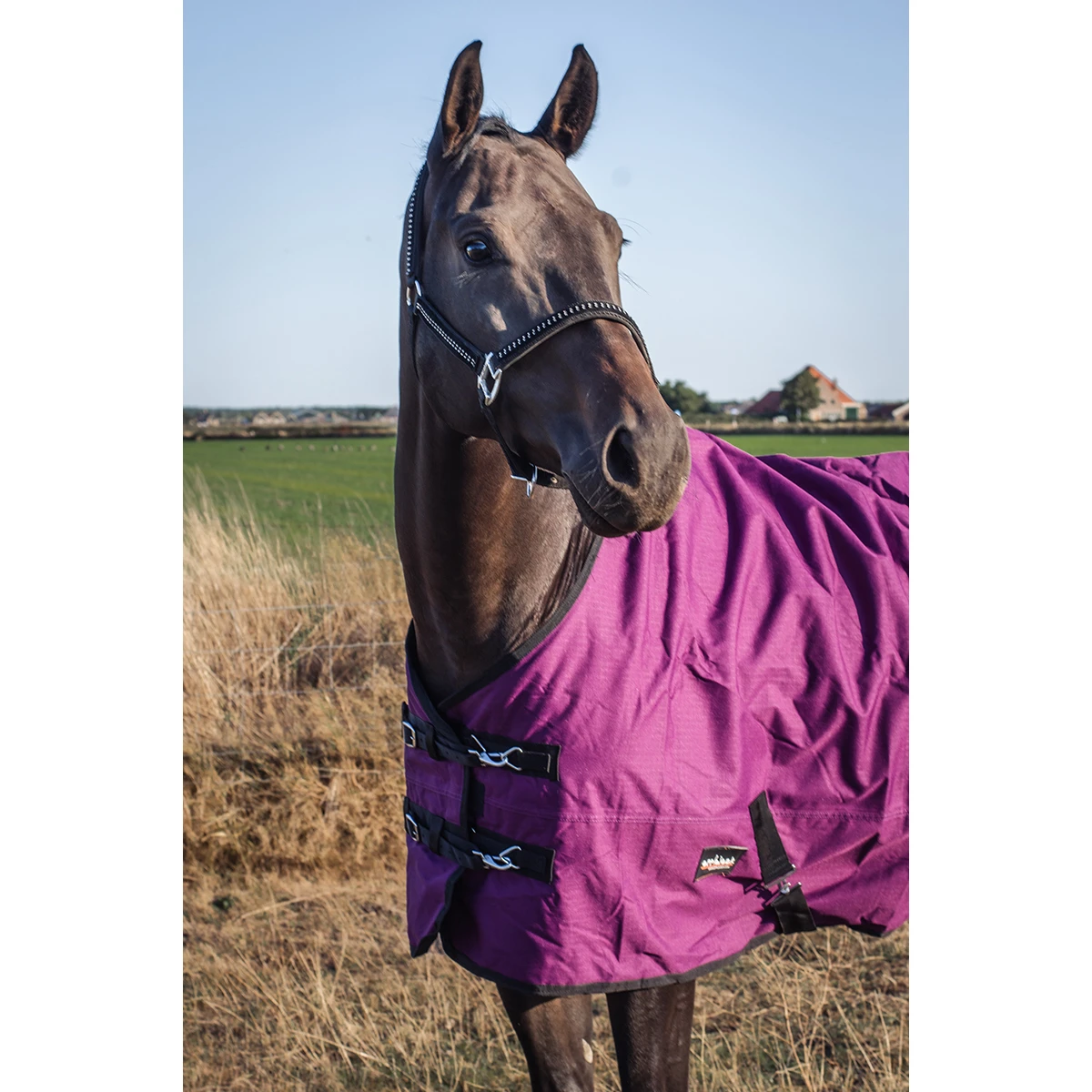 Deken Epplejeck EJRindal 200gr Donkerrood 8 Deken Epplejeck EJRindal 200gr Donkerrood - Afbeelding 6