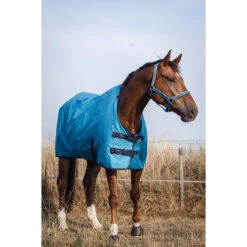 Deken Epplejeck EJRindal 200gr Middenblauw 11 Deken Epplejeck EJRindal 200gr Middenblauw -Paardenbenodigdheden Winkel deken epplejeck ejrindal 200gr middenblauw 1500x1500 165862