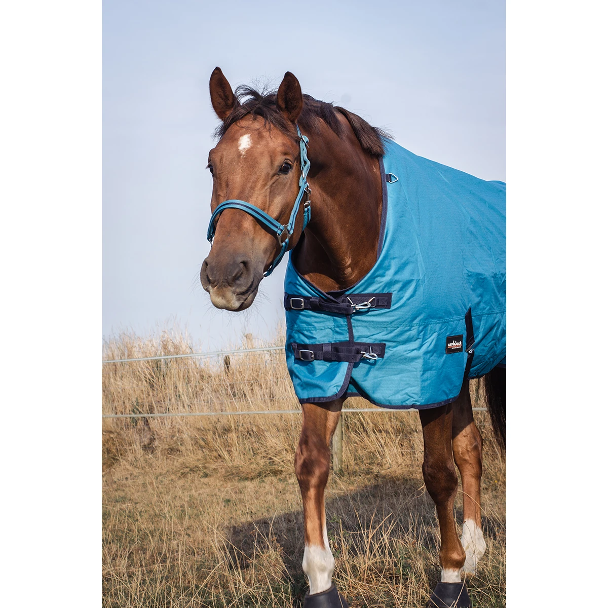 Deken Epplejeck EJRindal 200gr Middenblauw 7 Deken Epplejeck EJRindal 200gr Middenblauw - Afbeelding 5