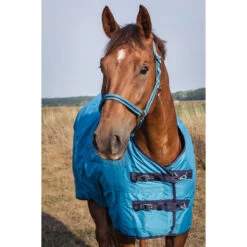 Deken Epplejeck EJRindal 200gr Middenblauw 13 Deken Epplejeck EJRindal 200gr Middenblauw -Paardenbenodigdheden Winkel deken epplejeck ejrindal 200gr middenblauw 1500x1500 165864