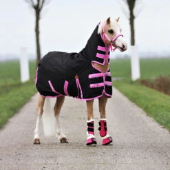 Deken Epplejeck Junior Full Neck 300gr Zwart-roze 14 Deken Epplejeck Junior Full Neck 300gr Zwart-roze -Paardenbenodigdheden Winkel deken epplejeck junior full neck 300gr zwart roze 1500x1500 98274