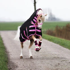 Deken Epplejeck Junior Full Neck 300gr Zwart-roze 15 Deken Epplejeck Junior Full Neck 300gr Zwart-roze -Paardenbenodigdheden Winkel deken epplejeck junior full neck 300gr zwart roze 1500x1500 98275