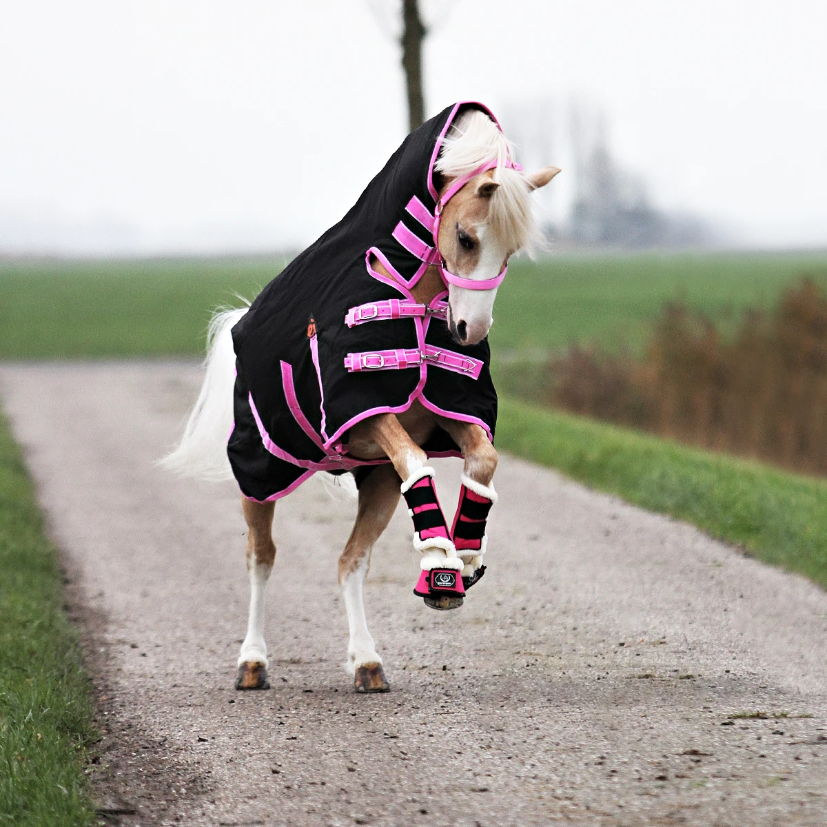 Deken Epplejeck Junior Full Neck 300gr Zwart-roze 9 Deken Epplejeck Junior Full Neck 300gr Zwart-roze - Afbeelding 7