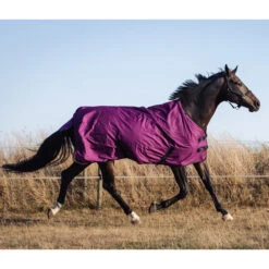 Deken Epplejeck Rindal 100gr Donkerrood 12 Deken Epplejeck Rindal 100gr Donkerrood -Paardenbenodigdheden Winkel deken epplejeck rindal 100gr donkerrood 1500x1500 165944