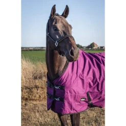 Deken Epplejeck Rindal 100gr Donkerrood 13 Deken Epplejeck Rindal 100gr Donkerrood -Paardenbenodigdheden Winkel deken epplejeck rindal 100gr donkerrood 1500x1500 165945