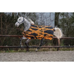 Deken Epplejeck Warning Horse 200gr Zwart-oranje -Paardenbenodigdheden Winkel deken epplejeck warning horse 200gr zwart oranje 1500x1500 135899