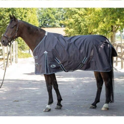 Deken Harry's Horse Thor 0gr Donkerblauw -Paardenbenodigdheden Winkel deken harry s horse thor 0gr donkerblauw 1500x1500 124401
