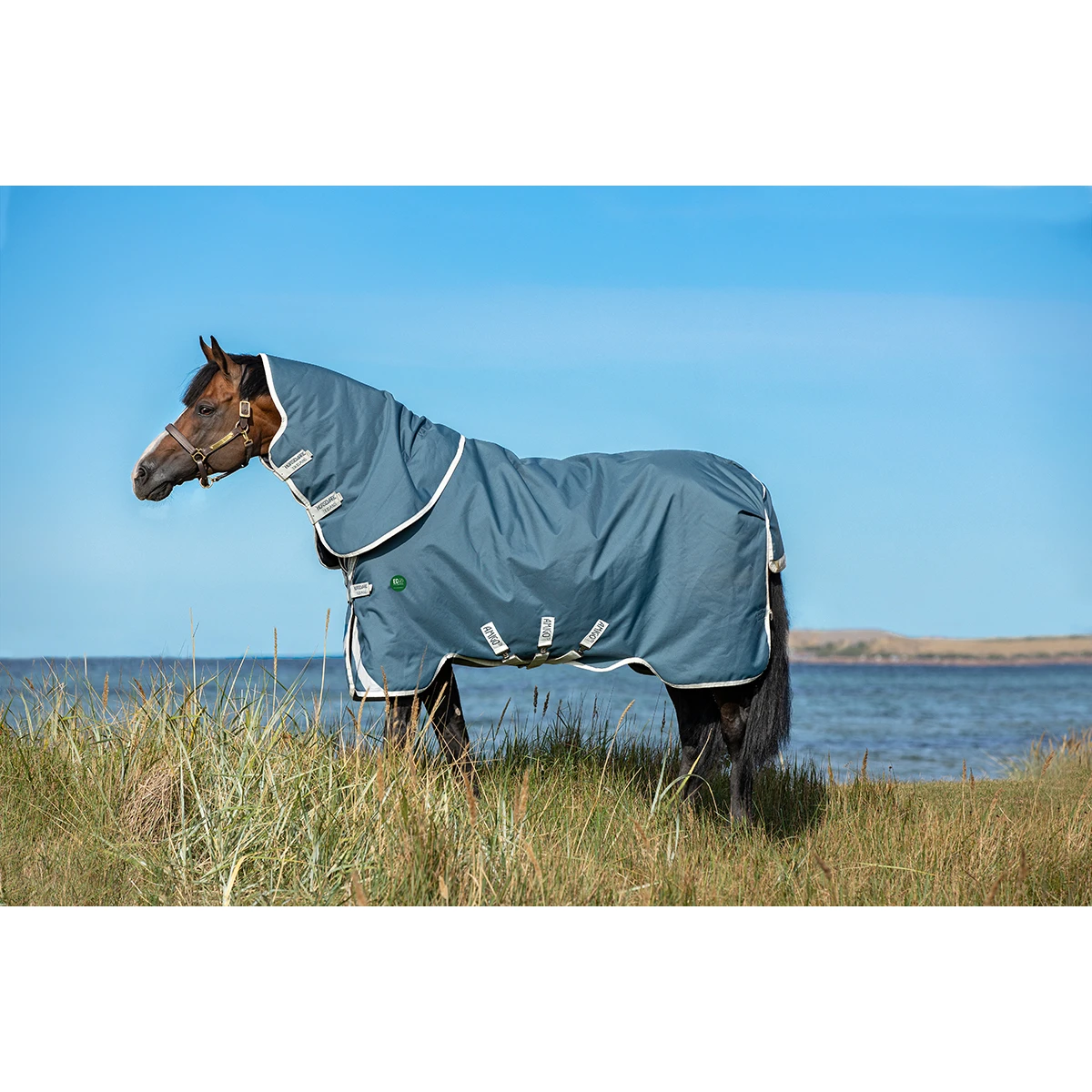 Deken Horseware Amigo Ameco 12 Plus Turnout 0gr Donkergrijs 3 Deken Horseware Amigo Ameco 12 Plus Turnout 0gr Donkergrijs