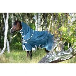 Deken Horseware Amigo Ameco 12 Plus Turnout 0gr Donkergrijs 14 Deken Horseware Amigo Ameco 12 Plus Turnout 0gr Donkergrijs -Paardenbenodigdheden Winkel deken horseware amigo ameco 12 plus turnout 0gr donkergrijs 1500x1500 126859