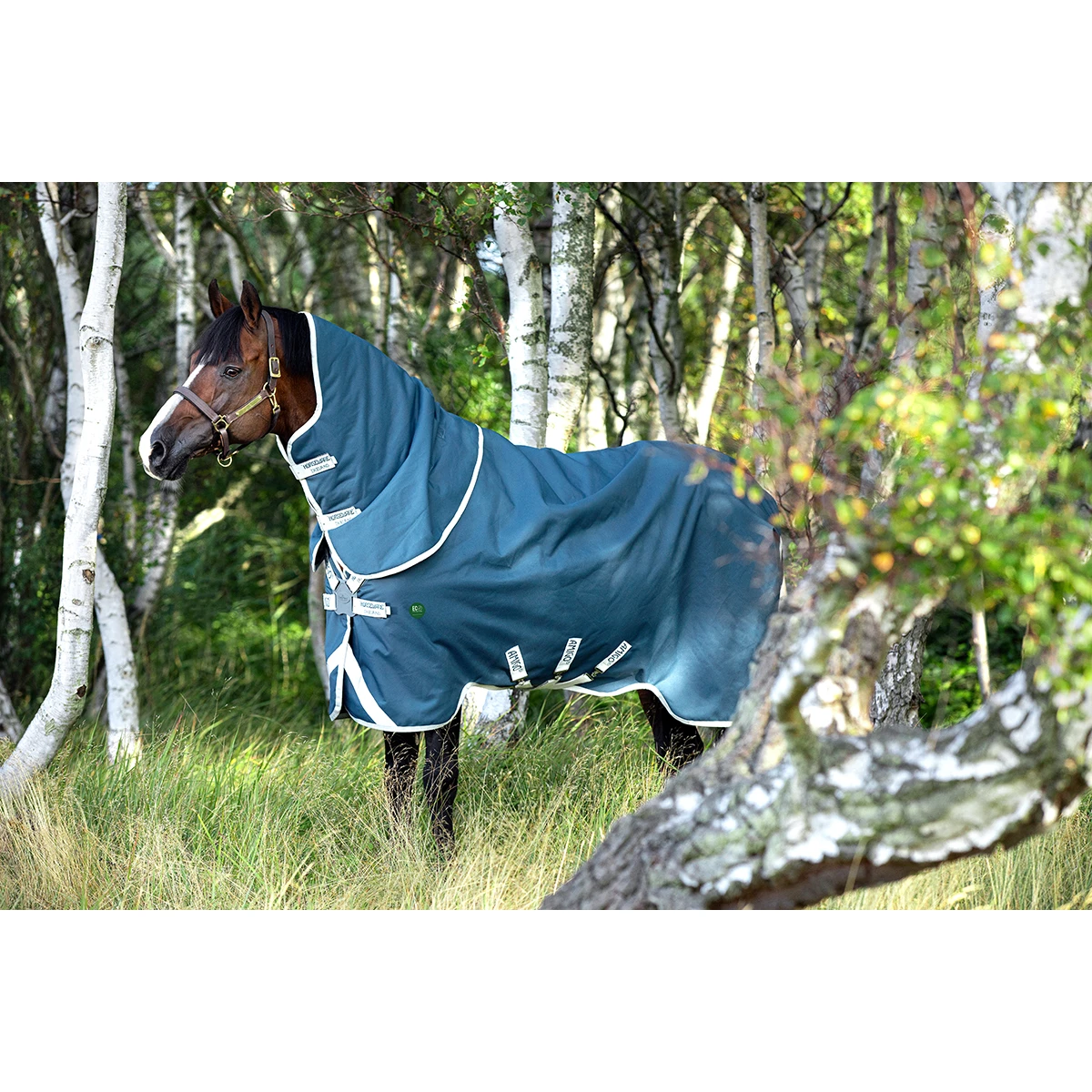 Deken Horseware Amigo Ameco 12 Plus Turnout 0gr Donkergrijs 7 Deken Horseware Amigo Ameco 12 Plus Turnout 0gr Donkergrijs - Afbeelding 5