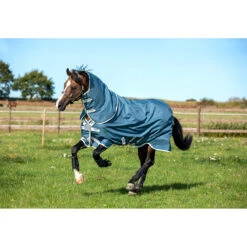 Deken Horseware Amigo Ameco 12 Plus Turnout 0gr Donkergrijs 15 Deken Horseware Amigo Ameco 12 Plus Turnout 0gr Donkergrijs -Paardenbenodigdheden Winkel deken horseware amigo ameco 12 plus turnout 0gr donkergrijs 1500x1500 126860