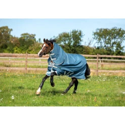 Deken Horseware Amigo Ameco 12 Plus Turnout 0gr Donkergrijs 17 Deken Horseware Amigo Ameco 12 Plus Turnout 0gr Donkergrijs -Paardenbenodigdheden Winkel deken horseware amigo ameco 12 plus turnout 0gr donkergrijs 1500x1500 126862