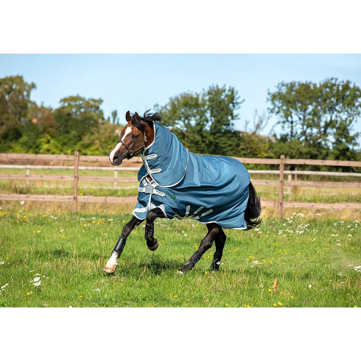 Deken Horseware Amigo Ameco 12 Plus Turnout 0gr Donkergrijs 10 Deken Horseware Amigo Ameco 12 Plus Turnout 0gr Donkergrijs - Afbeelding 8
