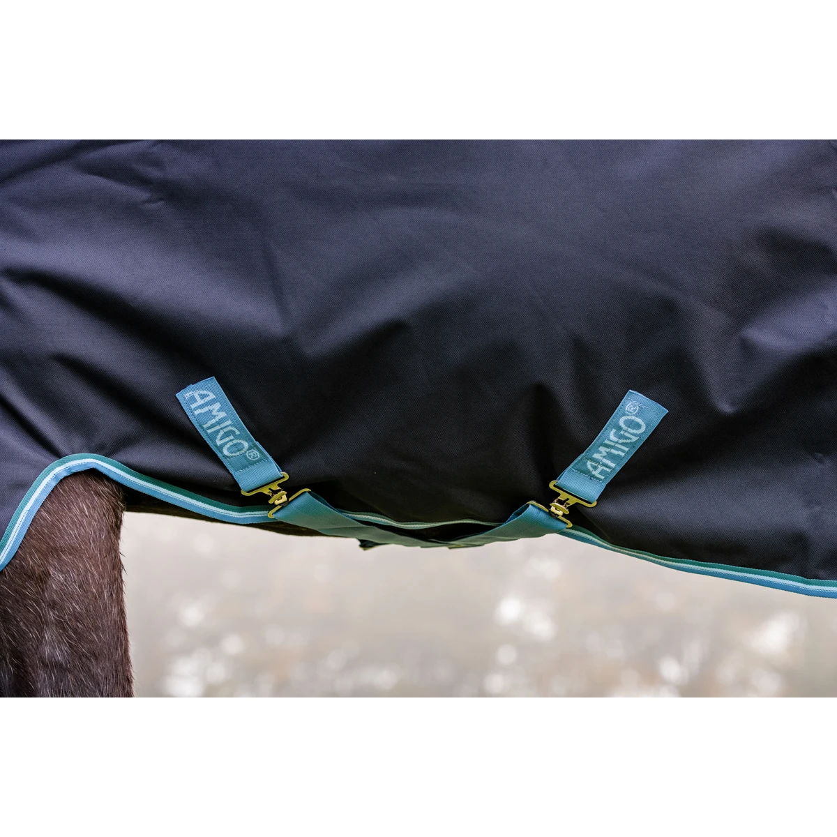 Deken Horseware Amigo Bravo 100gr Donkerblauw-turquoise 9 Deken Horseware Amigo Bravo 100gr Donkerblauw-turquoise - Afbeelding 7