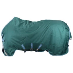 Deken Horseware Amigo Bravo 1200D Plus 100gr Disc Groen 14 Deken Horseware Amigo Bravo 1200D Plus 100gr Disc Groen -Paardenbenodigdheden Winkel deken horseware amigo bravo 1200d plus 100gr disc groen 1500x1500 164574
