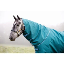 Deken Horseware Amigo Bravo 1200D Plus 100gr Disc Groen 18 Deken Horseware Amigo Bravo 1200D Plus 100gr Disc Groen -Paardenbenodigdheden Winkel deken horseware amigo bravo 1200d plus 100gr disc groen 1500x1500 164776